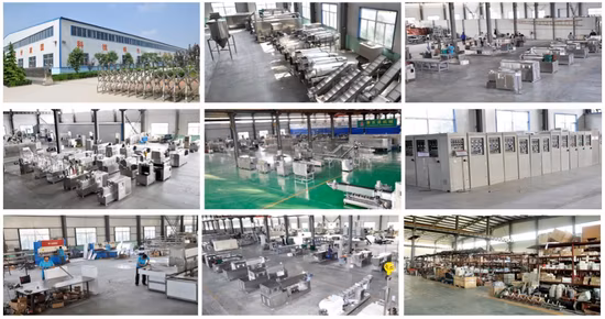 Professional Automatic Fish Food Processing Equipment